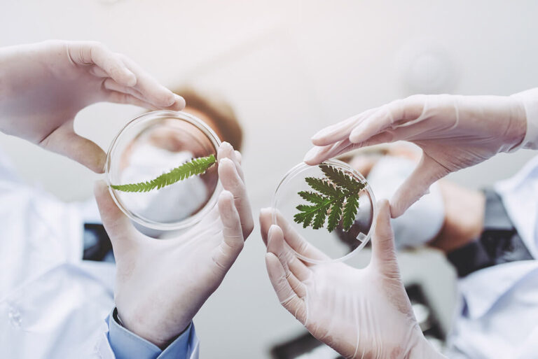 shutterstock_734633284_web