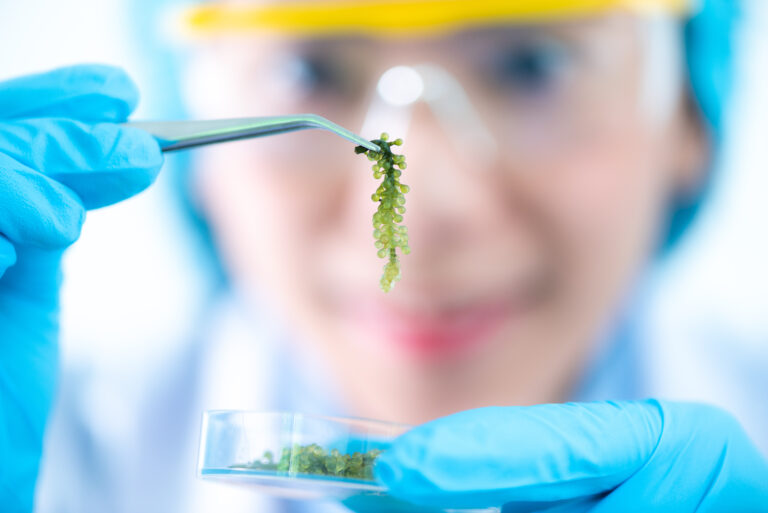 shutterstock_1431426674